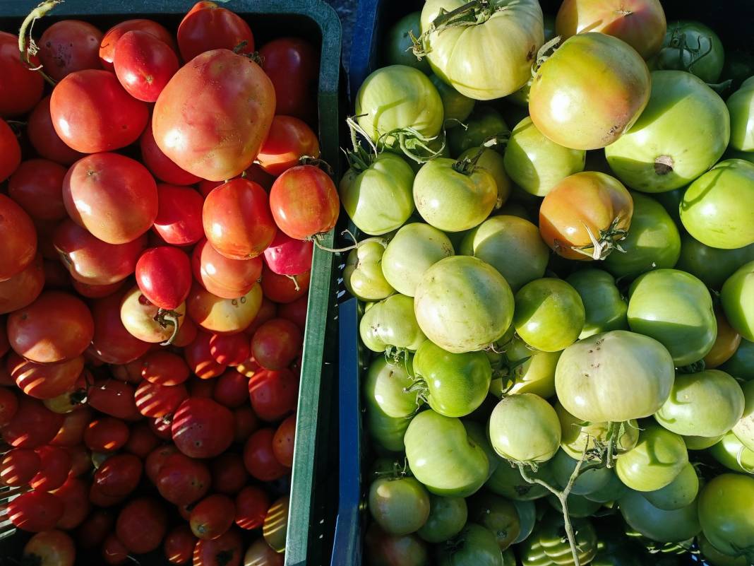 Konya’nın yüzde 100 yerli pazarı 37